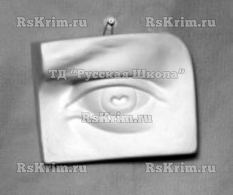 Гипсовая модель "Глаз человека" (для лепки и рисования)