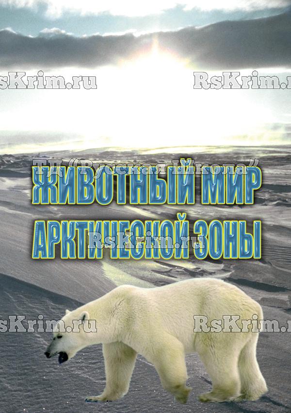 Компакт-диск "Животный мир Арктической зоны"(DVD)