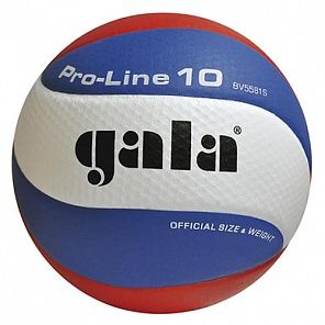 Мяч волейбольный Gala Pro-line 10 №5 матчевый