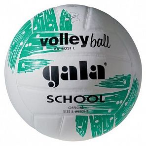 Мяч волейбольный Gala School
