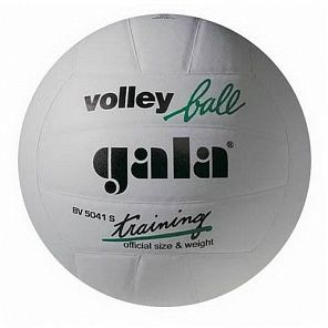 Мяч волейбольный Gala Training (синтетическая кожа)