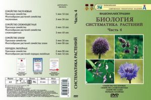 Компакт-диск "Систематика растений." 4 ч. "Отдел сложноцветных и т.д." (8 фраг.25 мин) (DVD)
